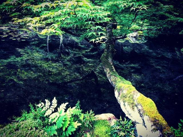 写真素材：真実と現実